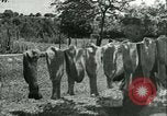 Image of German soldiers France, 1941, second 44 stock footage video 65675020679