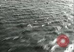 Standbild Deutsche biplanaren Nordsee, 1941, aus Sekunde 35 historischem Filmmaterial Videoclip 65675020681