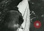 Standbild Deutsche biplanaren Nordsee, 1941, aus Sekunde 44 historischem Filmmaterial Videoclip 65675020681