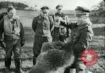 Image of German and British fighter planes in aerial combat France, 1941, second 37 stock footage video 65675020692