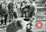 Image of German and British fighter planes in aerial combat France, 1941, second 38 stock footage video 65675020692