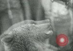 Image of German and British fighter planes in aerial combat France, 1941, second 46 stock footage video 65675020692
