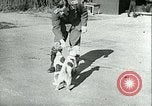 Image of German and British fighter planes in aerial combat France, 1941, second 48 stock footage video 65675020692