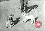 Image of German and British fighter planes in aerial combat France, 1941, second 50 stock footage video 65675020692