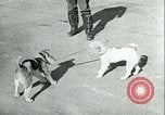 Image of German and British fighter planes in aerial combat France, 1941, second 52 stock footage video 65675020692