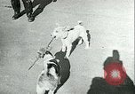 Image of German and British fighter planes in aerial combat France, 1941, second 54 stock footage video 65675020692