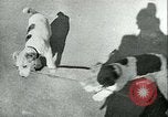 Image of German and British fighter planes in aerial combat France, 1941, second 55 stock footage video 65675020692