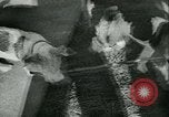 Image of German and British fighter planes in aerial combat France, 1941, second 56 stock footage video 65675020692