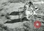 Image of German and British fighter planes in aerial combat France, 1941, second 58 stock footage video 65675020692