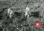 Image of German and British fighter planes in aerial combat France, 1941, second 61 stock footage video 65675020692