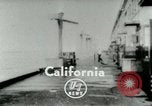 Image of Sea gull with embedded arrow Los Angeles California USA, 1953, second 5 stock footage video 65675020697
