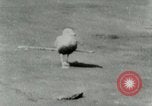 Image of Sea gull with embedded arrow Los Angeles California USA, 1953, second 13 stock footage video 65675020697