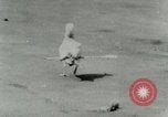 Image of Sea gull with embedded arrow Los Angeles California USA, 1953, second 29 stock footage video 65675020697