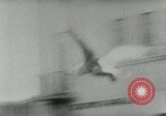 Image of Sea gull with embedded arrow Los Angeles California USA, 1953, second 34 stock footage video 65675020697