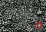Image match de football Lawrence Kansas USA, 1950, de la seconde 47 séquences d'archives historiques vidéo 65675020705