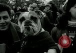 Image of Barrel jumping New York United States USA, 1953, second 45 stock footage video 65675020712
