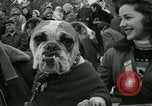 Image of Barrel jumping New York United States USA, 1953, second 48 stock footage video 65675020712