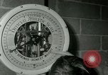 Standbild junge Boxer New York City USA, 1953, aus Sekunde 5 historischem Filmmaterial Videoclip 65675020723