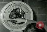 Standbild junge Boxer New York City USA, 1953, aus Sekunde 6 historischem Filmmaterial Videoclip 65675020723