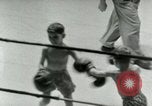 Standbild junge Boxer New York City USA, 1953, aus Sekunde 32 historischem Filmmaterial Videoclip 65675020723