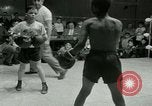 Standbild junge Boxer New York City USA, 1953, aus Sekunde 50 historischem Filmmaterial Videoclip 65675020723