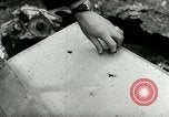 Image Attaque aérienne de la guerre froide sur l'Allemagne Allemagne, 1953, de la seconde 42 séquences d'archives historiques vidéo 65675020724