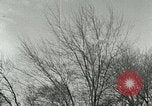 Image of Ornithopter Seattle Washington USA, 1953, second 29 stock footage video 65675020727
