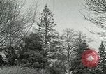 Image of Ornithopter Seattle Washington USA, 1953, second 35 stock footage video 65675020727