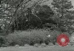 Image of Ornithopter Seattle Washington USA, 1953, second 48 stock footage video 65675020727