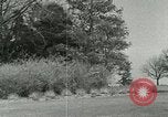 Image of Ornithopter Seattle Washington USA, 1953, second 50 stock footage video 65675020727