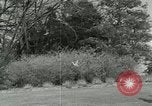 Image of Ornithopter Seattle Washington USA, 1953, second 51 stock footage video 65675020727