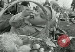 Image of President Dwight Eisenhower Washington DC USA, 1953, second 46 stock footage video 65675020734