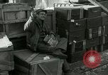 Immagine di Stati Uniti Marines Hungnam Corea del Nord, 1950, secondo 10 filmato di repertorio 65675020746