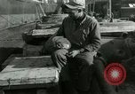 Immagine di Stati Uniti Marines Hungnam Corea del Nord, 1950, secondo 35 filmato di repertorio 65675020749