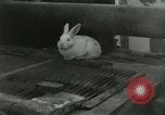 Immagine di Stati Uniti Marines Hungnam Corea del Nord, 1950, secondo 44 filmato di repertorio 65675020749