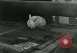 Immagine di Stati Uniti Marines Hungnam Corea del Nord, 1950, secondo 45 filmato di repertorio 65675020749