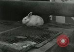 Immagine di Stati Uniti Marines Hungnam Corea del Nord, 1950, secondo 46 filmato di repertorio 65675020749