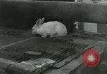 Immagine di Stati Uniti Marines Hungnam Corea del Nord, 1950, secondo 47 filmato di repertorio 65675020749