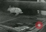 Immagine di Stati Uniti Marines Hungnam Corea del Nord, 1950, secondo 48 filmato di repertorio 65675020749