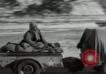 Image of United States Marines Chosin Reservoir Korea, 1950, second 11 stock footage video 65675020758