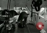 Immagine di Soldati feriti Tokyo Giappone, 1950, secondo 48 filmato di repertorio 65675020766