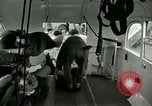 Immagine di Soldati feriti Tokyo Giappone, 1950, secondo 49 filmato di repertorio 65675020766