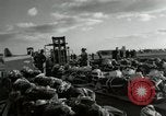 Immagine di Operai giapponese Chosin Corea del serbatoio, 1950, secondo 22 filmato di repertorio 65675020771