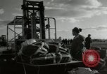 Immagine di Operai giapponese Chosin Corea del serbatoio, 1950, secondo 31 filmato di repertorio 65675020771
