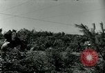Image of 223rd Infantry Regiment in Korean WAr Korea, 1951, second 1 stock footage video 65675020775