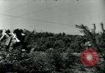 Image of 223rd Infantry Regiment in Korean WAr Korea, 1951, second 3 stock footage video 65675020775
