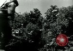 Image of 223rd Infantry Regiment in Korean WAr Korea, 1951, second 40 stock footage video 65675020775