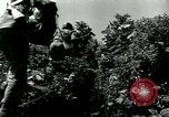 Image of 223rd Infantry Regiment in Korean WAr Korea, 1951, second 42 stock footage video 65675020775
