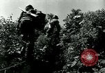 Image of 223rd Infantry Regiment in Korean WAr Korea, 1951, second 43 stock footage video 65675020775