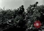 Image of 223rd Infantry Regiment in Korean WAr Korea, 1951, second 46 stock footage video 65675020775